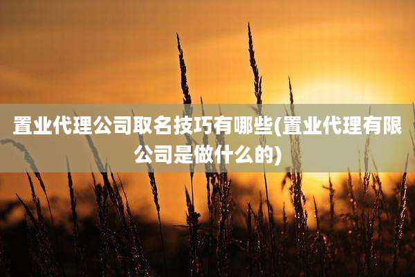 置业代理公司取名技巧有哪些(置业代理有限公司是做什么的)