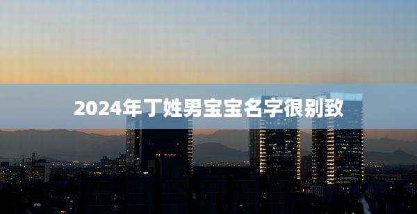 2024年丁姓男宝宝名字很别致