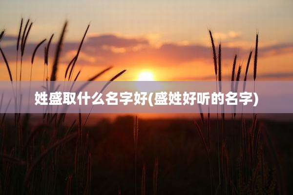 姓盛取什么名字好(盛姓好听的名字)