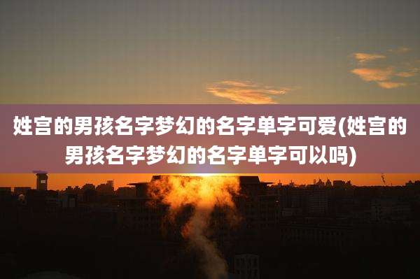 姓宫的男孩名字梦幻的名字单字可爱(姓宫的男孩名字梦幻的名字单字可以吗)