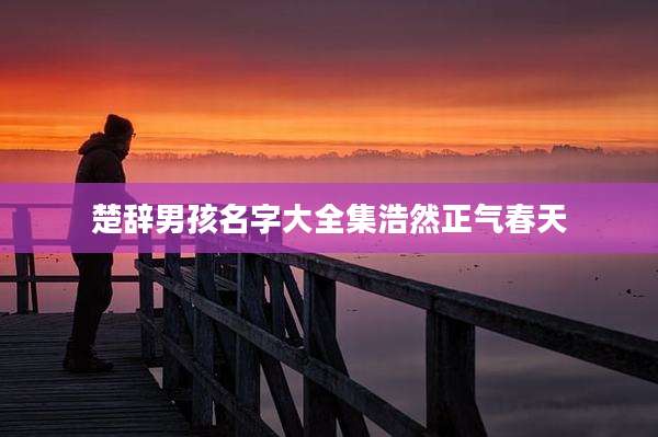 楚辞男孩名字大全集浩然正气春天