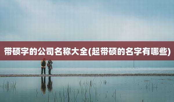 带硕字的公司名称大全(起带硕的名字有哪些)