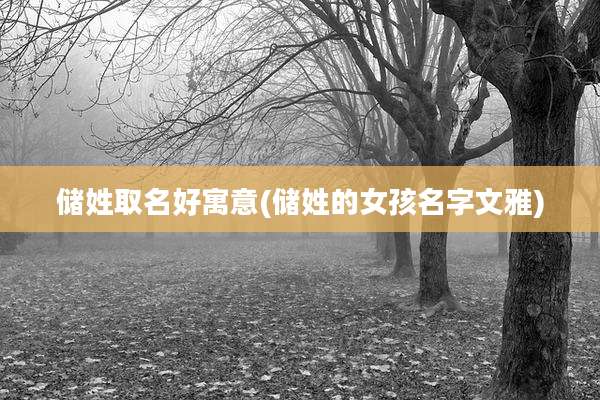 储姓取名好寓意(储姓的女孩名字文雅)