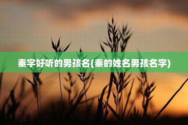 秦字好听的男孩名(秦的姓名男孩名字)