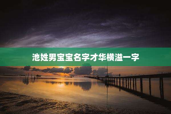 池姓男宝宝名字才华横溢一字