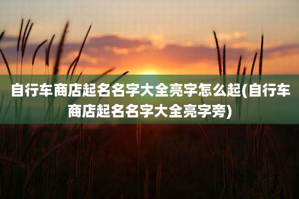 自行车商店起名名字大全亮字怎么起(自行车商店起名名字大全亮字旁)