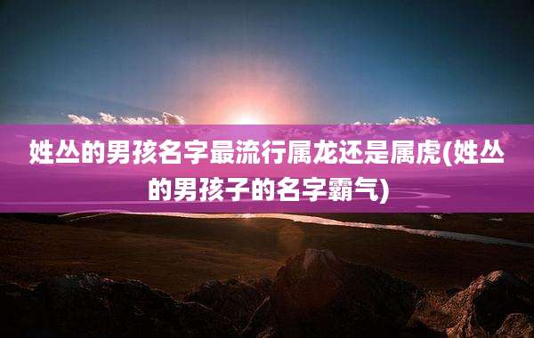 姓丛的男孩名字最流行属龙还是属虎(姓丛的男孩子的名字霸气)