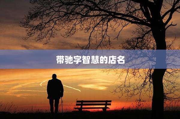 带驰字智慧的店名
