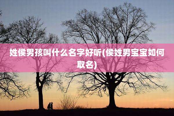 姓侯男孩叫什么名字好听(侯姓男宝宝如何取名)