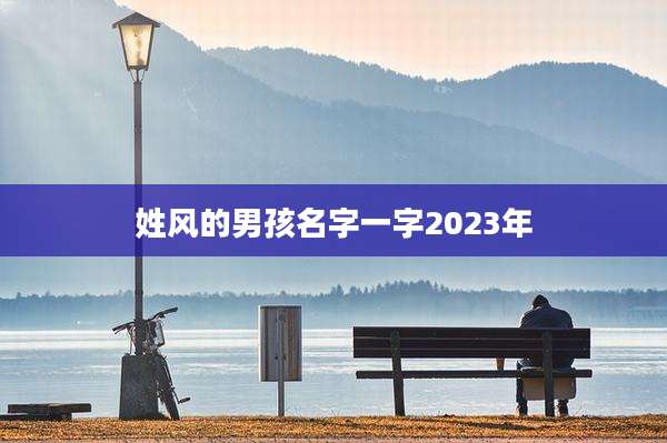 姓风的男孩名字一字2023年