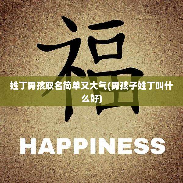 姓丁男孩取名简单又大气(男孩子姓丁叫什么好)
