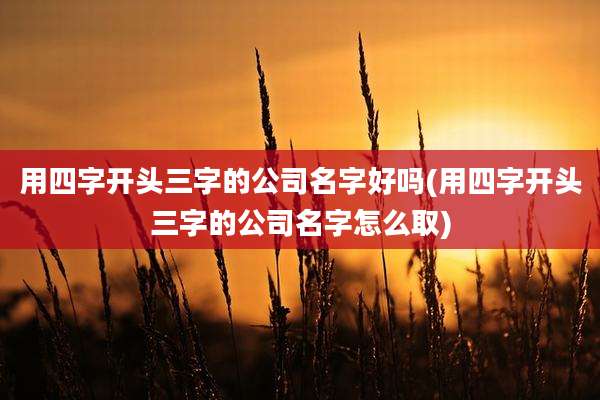 用四字开头三字的公司名字好吗(用四字开头三字的公司名字怎么取)