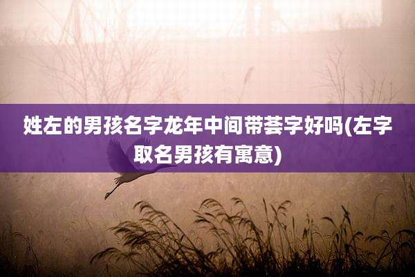 姓左的男孩名字龙年中间带荟字好吗(左字取名男孩有寓意)