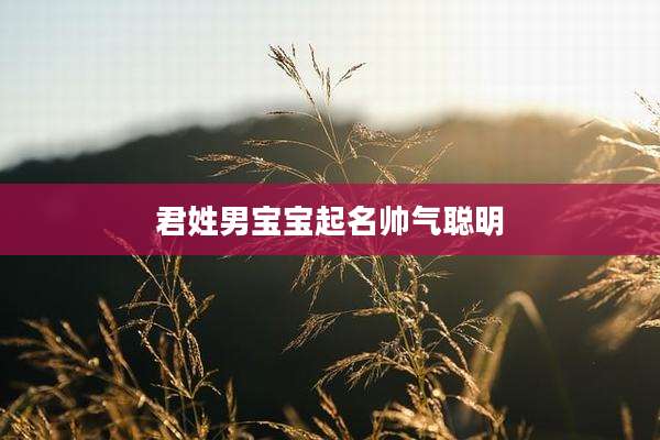 君姓男宝宝起名帅气聪明