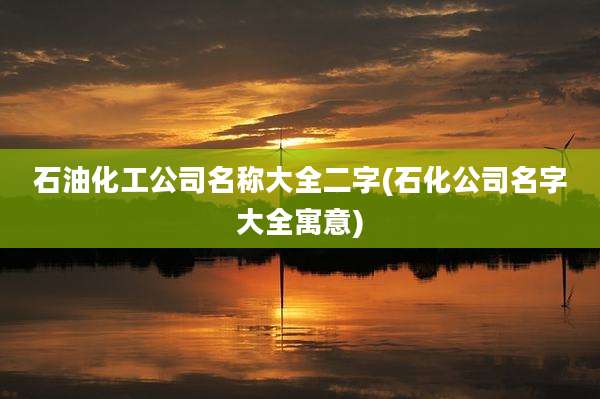 石油化工公司名称大全二字(石化公司名字大全寓意)