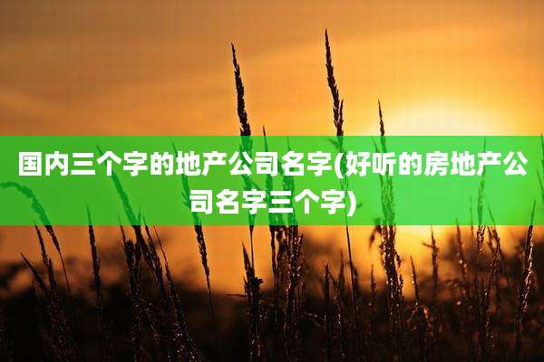 国内三个字的地产公司名字(好听的房地产公司名字三个字)