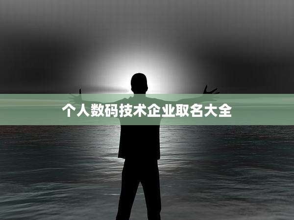 个人数码技术企业取名大全