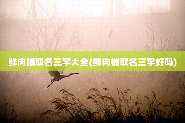 鲜肉铺取名三字大全(鲜肉铺取名三字好吗)