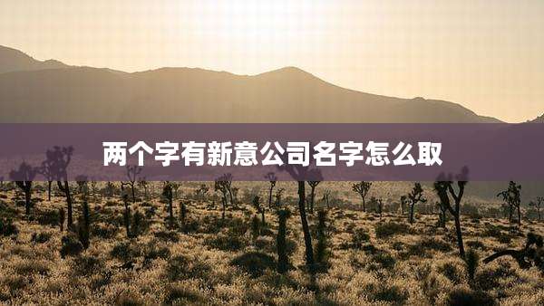 两个字有新意公司名字怎么取