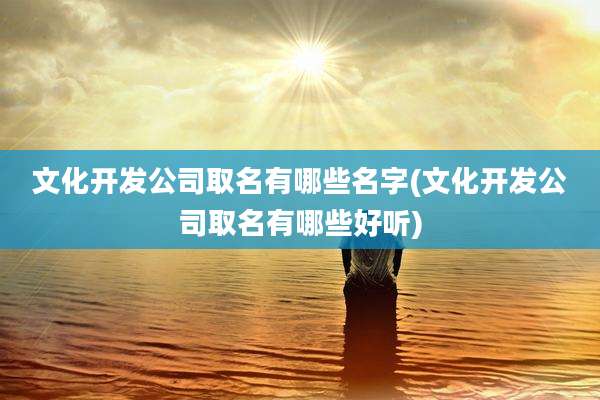 文化开发公司取名有哪些名字(文化开发公司取名有哪些好听)