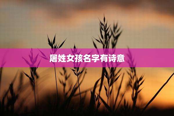 屠姓女孩名字有诗意