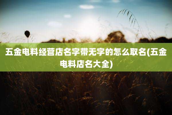 五金电料经营店名字带无字的怎么取名(五金电料店名大全)