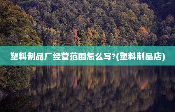 塑料制品厂经营范围怎么写?(塑料制品店)