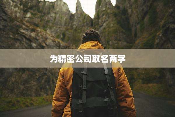 为精密公司取名两字