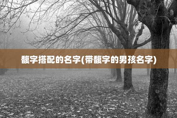 馥字搭配的名字(带馥字的男孩名字)
