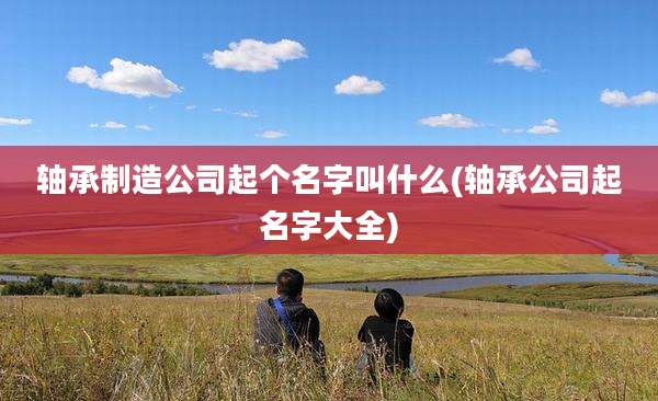 轴承制造公司起个名字叫什么(轴承公司起名字大全)