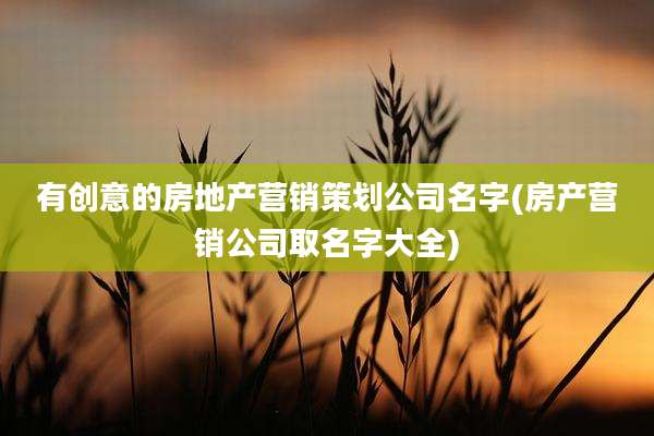 有创意的房地产营销策划公司名字(房产营销公司取名字大全)
