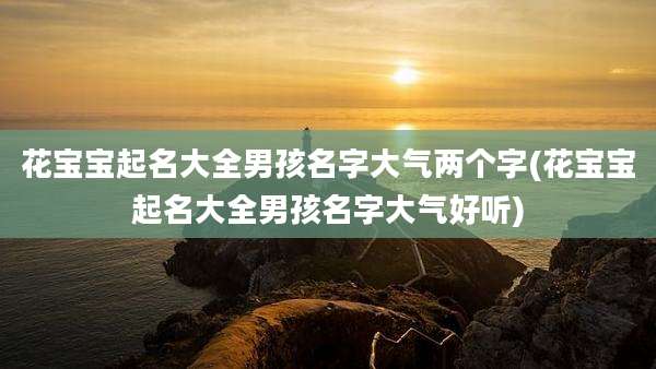 花宝宝起名大全男孩名字大气两个字(花宝宝起名大全男孩名字大气好听)