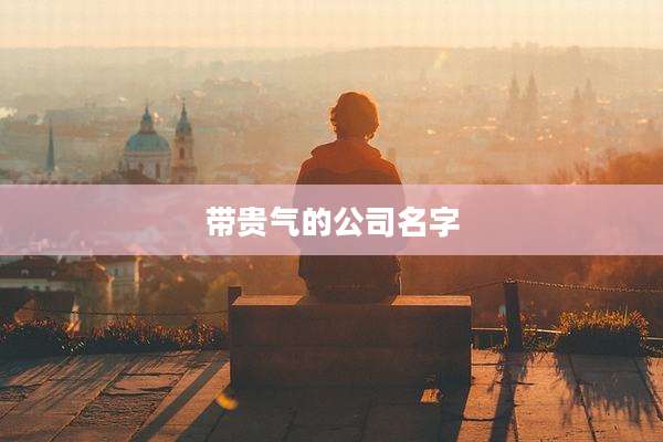 带贵气的公司名字