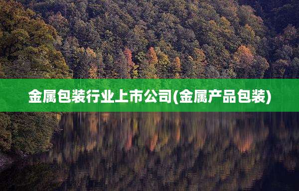 金属包装行业上市公司(金属产品包装)