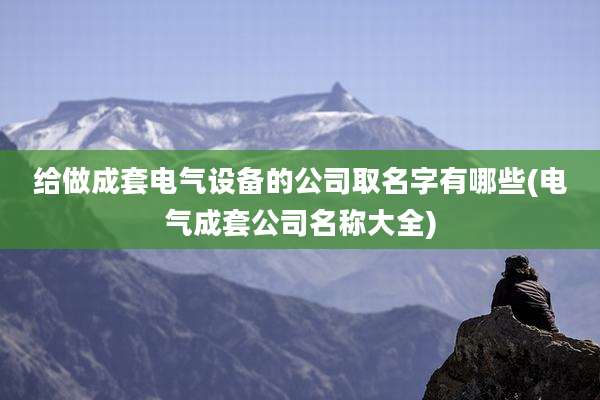 给做成套电气设备的公司取名字有哪些(电气成套公司名称大全)