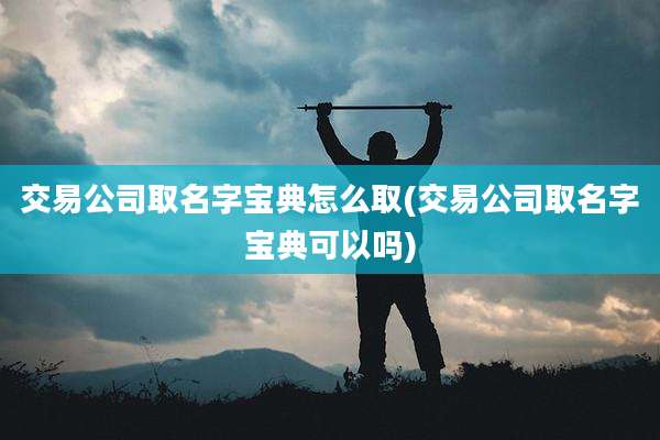 交易公司取名字宝典怎么取(交易公司取名字宝典可以吗)