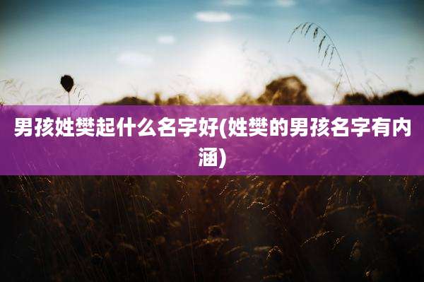 男孩姓樊起什么名字好(姓樊的男孩名字有内涵)