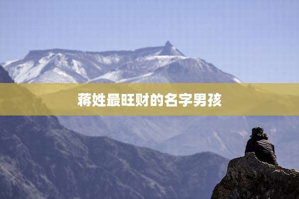 蒋姓最旺财的名字男孩
