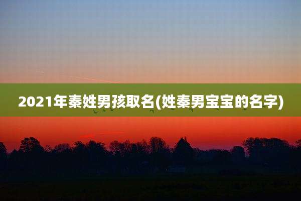 2021年秦姓男孩取名(姓秦男宝宝的名字)