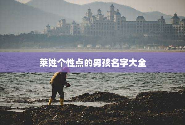 莱姓个性点的男孩名字大全