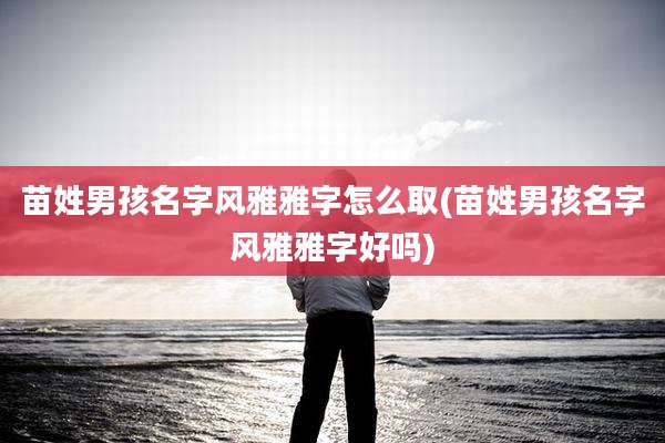 苗姓男孩名字风雅雅字怎么取(苗姓男孩名字风雅雅字好吗)