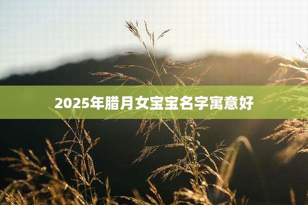 2025年腊月女宝宝名字寓意好