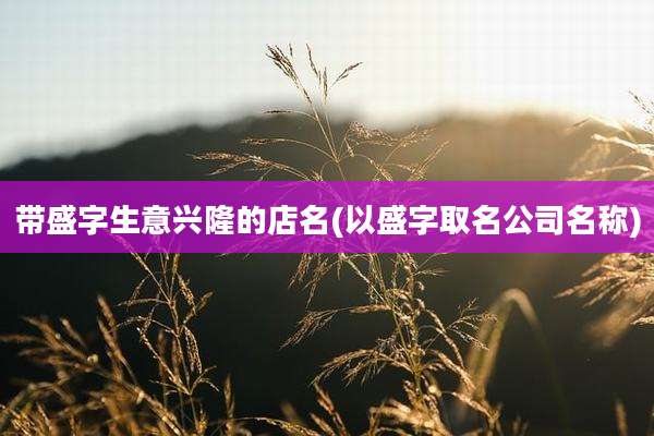 带盛字生意兴隆的店名(以盛字取名公司名称)