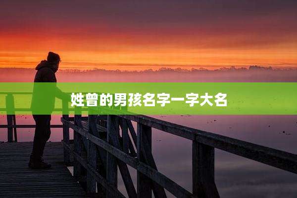 姓曾的男孩名字一字大名