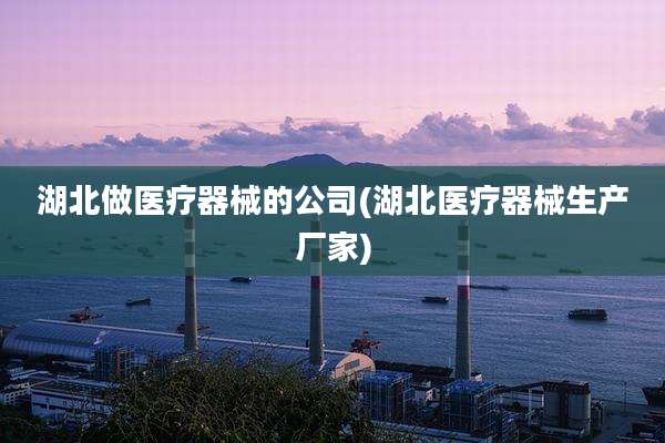 湖北做医疗器械的公司(湖北医疗器械生产厂家)