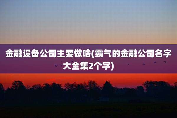 金融设备公司主要做啥(霸气的金融公司名字大全集2个字)