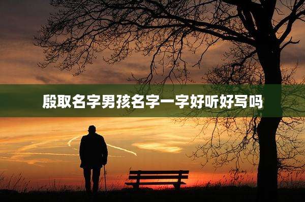 殷取名字男孩名字一字好听好写吗