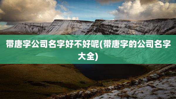 带唐字公司名字好不好呢(带唐字的公司名字大全)