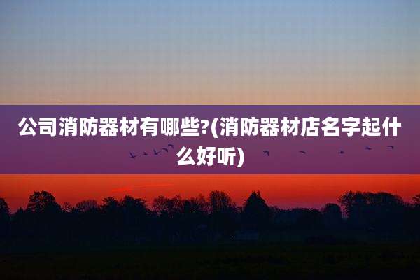 公司消防器材有哪些?(消防器材店名字起什么好听)