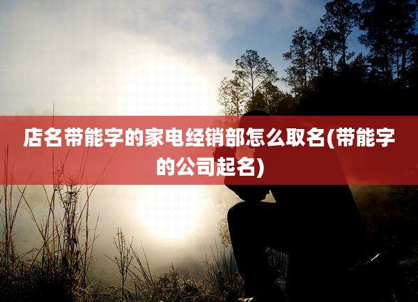 店名带能字的家电经销部怎么取名(带能字的公司起名)